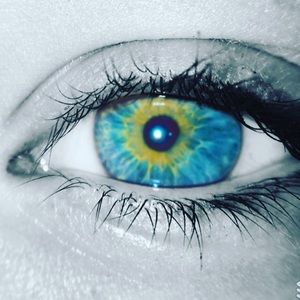 Meet your Posher, Callie